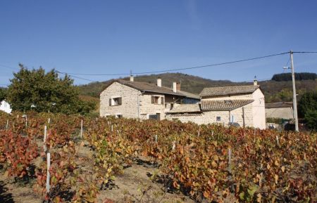 Chambre d'h&ocirc;tes n&deg;2422 Pruzilly - Sa&ocirc;ne-et-Loire - photo