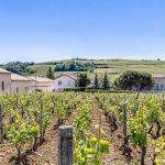 gite - La Vigneraie - FUISSE - Sa&ocirc;ne-et-Loire