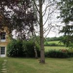 Pigeonnier - Le Pigeonnier de la Tour - CHAMPLECY - Sa&ocirc;ne-et-Loire
